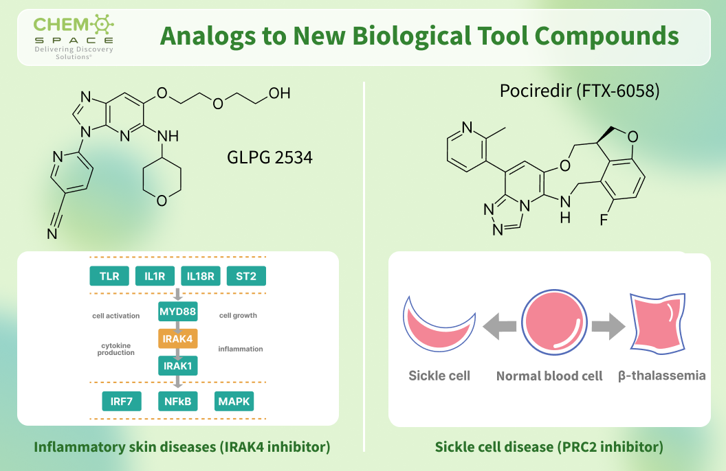 Chemspace offers Analogs to New Biological Tool Compounds. Part 24